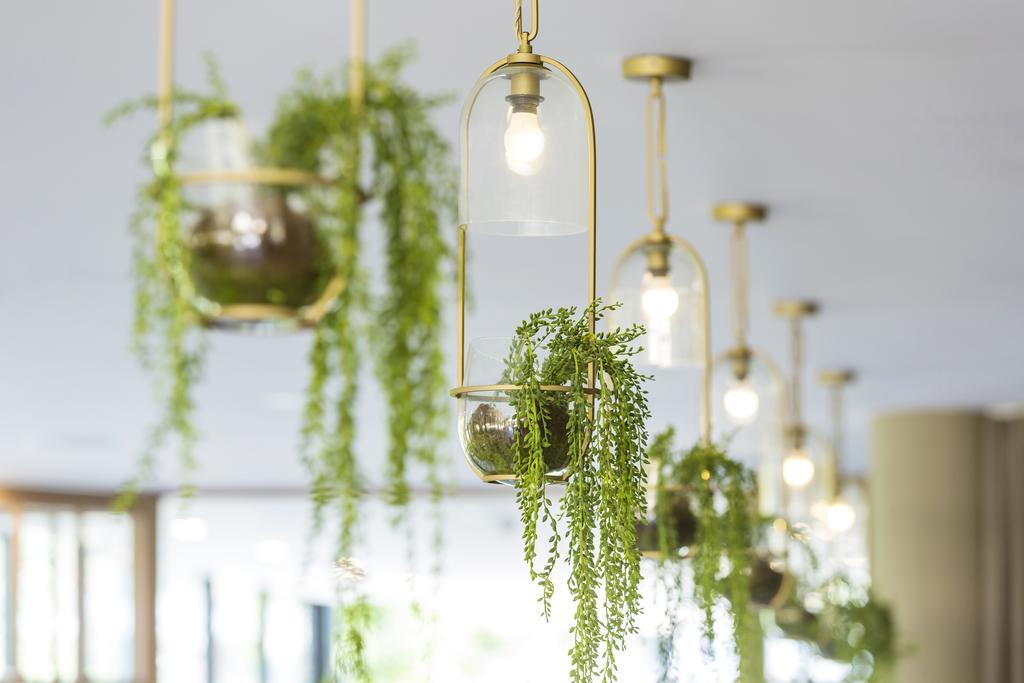 Vibe Hotel Rushcutters Bay سيدني المظهر الخارجي الصورة
